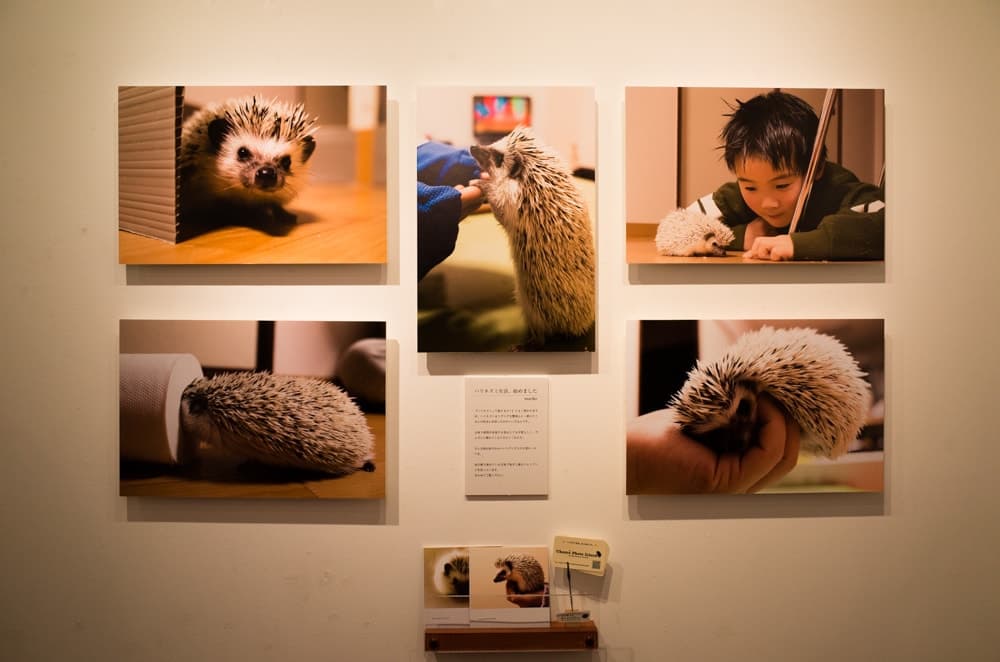 写真展に初出展しました