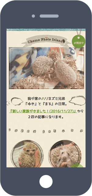 ハリネズミとの日常フォトブログ。ちょもフォト島。